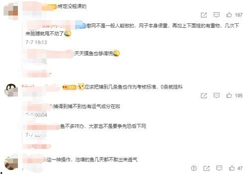 吃瓜网课小说,揭秘校园里的那些秘密