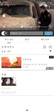 吃瓜表白全文百度云网盘